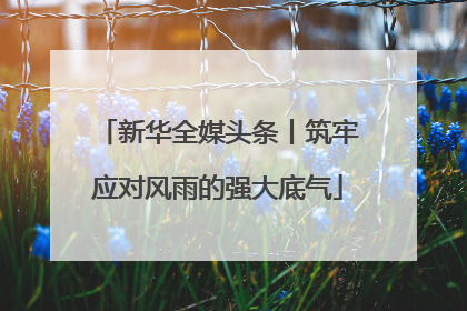 新华全媒头条丨筑牢应对风雨的强大底气